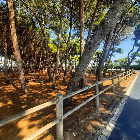 Trieste Bilo 3 - Myho Casa *