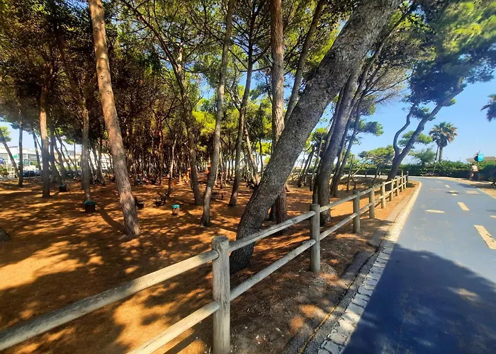 Trieste Bilo 3 - Myho Casa *